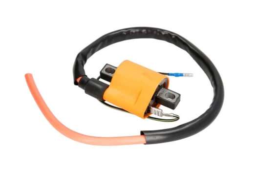Ignition Coil INPARTS IP000043