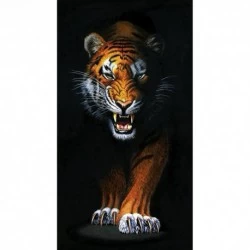 Deimantinis paveikslas Stalking Tiger WD2408