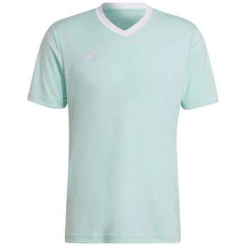 Adidas marškinėliai