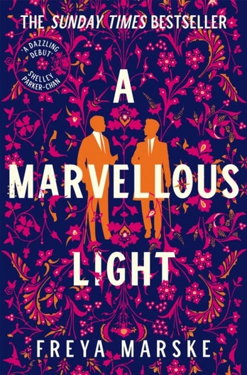 Marvellous Light, A dazzling, queer romantic fantasy