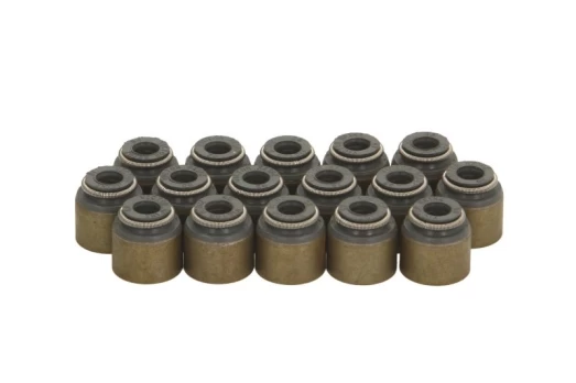 REINZ 12-10031-01 Valve stem seal set
