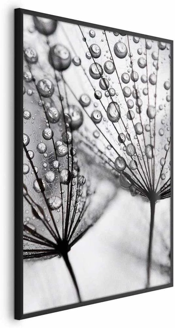 Artgeist Plakatas - Macro Dew