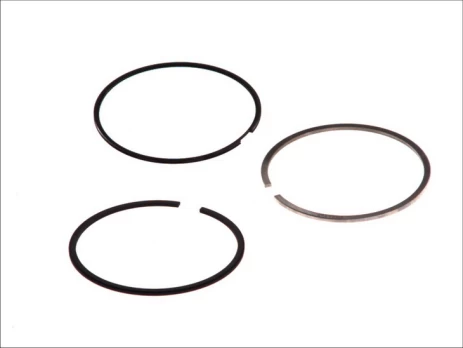 MAHLE 009 81 N0 Piston ring set