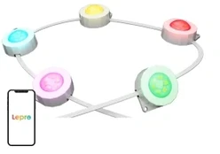 Lepro E1-30 Outdoor Light
