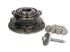 FAG 713 6602 10 Wheel bearing kit kaina