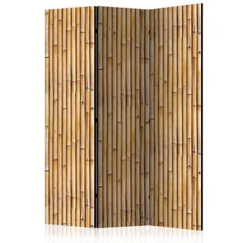 Artgeist Pertvara - Amazonian Wall [Room Dividers]