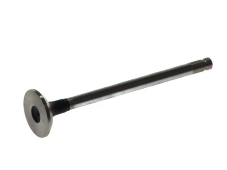 FRECCIA 4229/RCR Exhaust valve