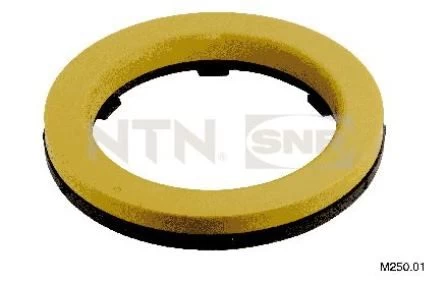 Remonto komplektas, pakabos statramstis SNR M250.01