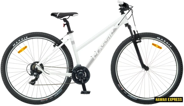 Dviratis 29 CLASSIC TEAM LADY 29 29 baltas classic