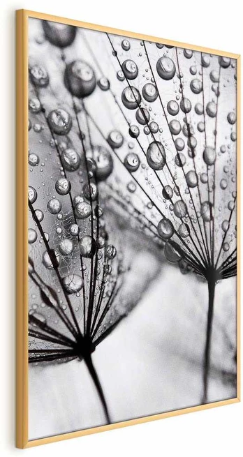 Artgeist Plakatas - Macro Dew