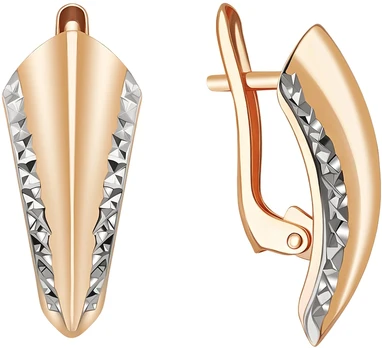 Auksiniai auskarai Brasco 65016