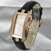 Laikrodis Pierre Cardin PC106022F06