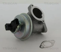 ERG vožtuvas TRISCAN 8813 16012