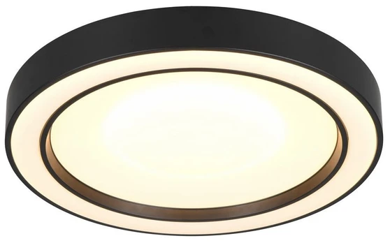 Šviestuvas lubų Reality Arco R65091432, LED, 2700 - 6000 °K