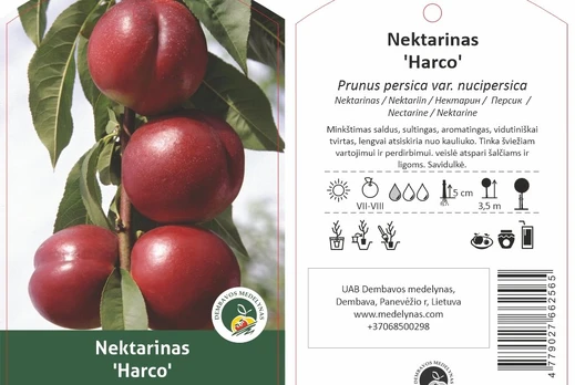 Vaismedis, nektarinas "Harco"