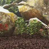Vulkaninės uolienos, raudonos spalvos, 10kg, 5–8cm kaina