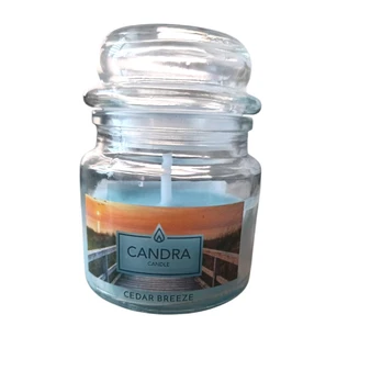 CANDRA kvapni žvakė ''Cedar Breeze''