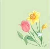 Serviet Bio Dunisoft Spring Melody L40xB40 cm Floret,60 stk/pk