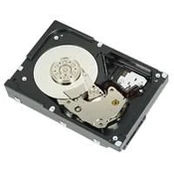 DELL WTJVY vidinis kietasis diskas 2 TB 7200 RPM 3.5" NL-SAS