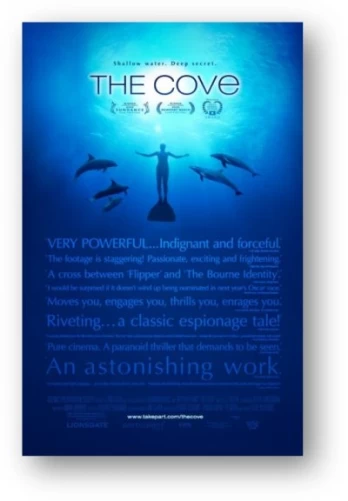 CoveThe - DVD