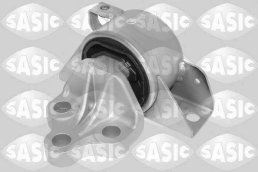 Variklio montavimas SASIC 2706530