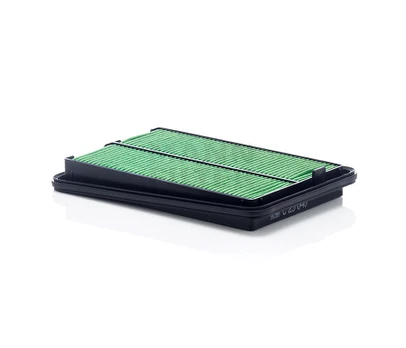 Oro filtras C25040