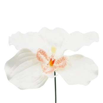 Dirbtinė gėlė orchidėjos žiedas : Spalva - Žalsva