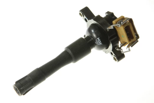 Ritė, uždegimas NGK 48009