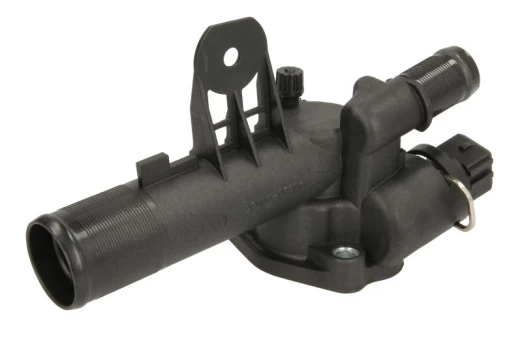 termostatas, aušinimo skystis THERMOTEC D21001TT