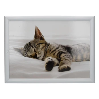Padėklas Creative Tops Sleeping Kitten, 44 cm, 34 cm, Ruda/Balta