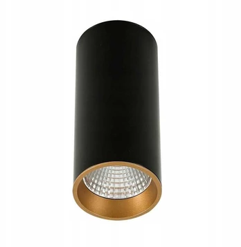 Moldes Big BL/GO Ceiling 4000K