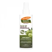 PALMER'S SHINE THERAPY LEAVE-IN plaukų kondicionierius, 250 ml kaina