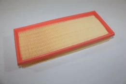 Oro filtras AUTOMEGA 180032210 kaina