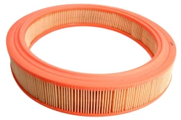 Oro filtras FILTRON AR 244 kaina
