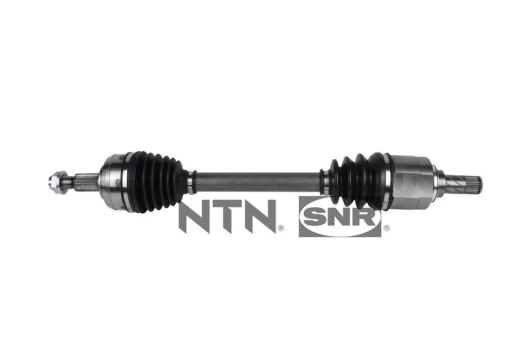 Pusašis SNR DK55.099