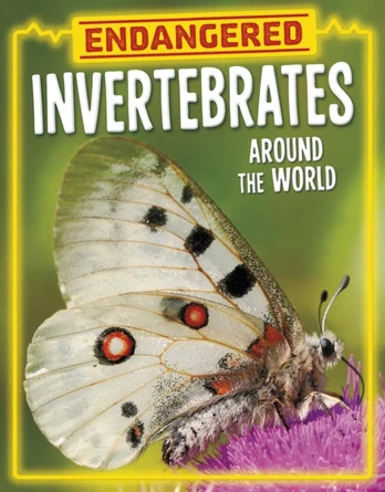 Endangered Invertebrates Around the World