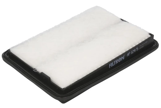 Oro filtras FILTRON AP124/5
