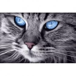 Deimantinis paveikslas Blue-Eyed Cat WD2517