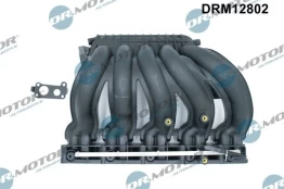 Įsiurbimo kolektoriaus modulis Dr.Motor Automotive DRM12802 kaina