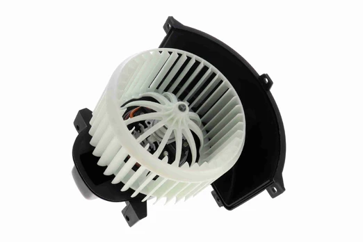 vidaus pūtiklis V10-03-0004