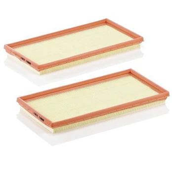 MANN-FILTER C 3361-2 Oro filtras