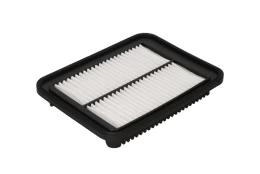 Oro filtras FILTRON AP107/3 kaina
