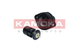 Termostatas, aušinimo skystis KAMOKA 7710257 kaina