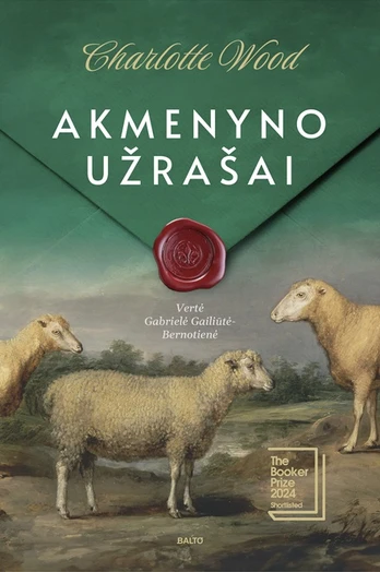Akmenyno užrašai