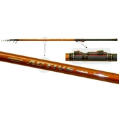 Meškerė Boloninė SurfMaster ACTIVE TX-20 6m 10 - 30g kaina