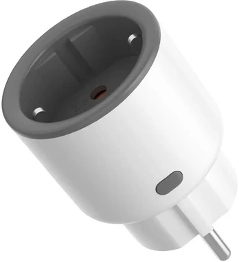 SONOFF S60 Zigbee išmanusis kištukas