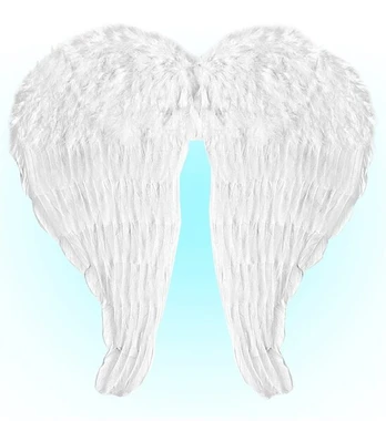 BENDABLE WHITE FEATHER WINGS 60x46 cm