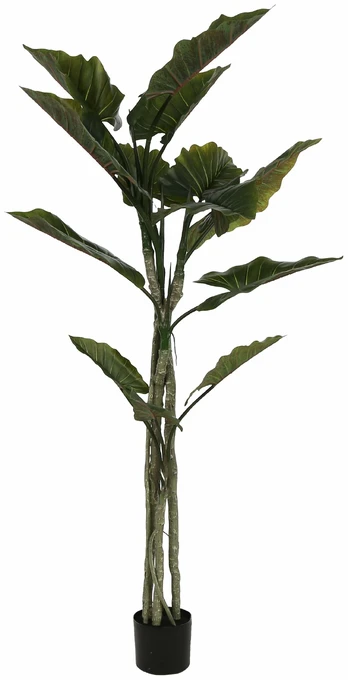 Dirbtinis augalas vazone, žalia sp., 190 cm