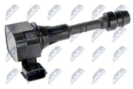 Ritė, uždegimas NTY ECZ-NS-003