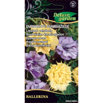 Durnaropės stambiažiedės Ballerina